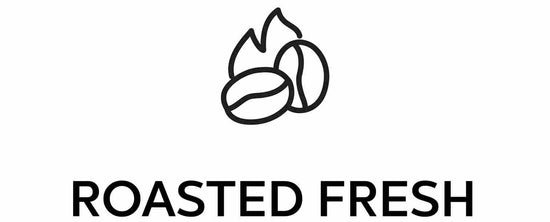 Freshly Roasted Coffee for a Perfect Cup